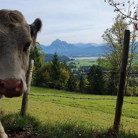 Alpenblick 7, Erholung Pur Im Allgaeu Halblech