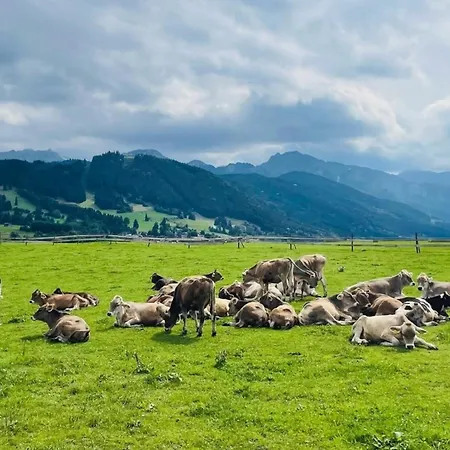 Alpenblick 7, Erholung Pur Im Allgaeu Appartement Halblech